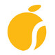 Orangesoft Web Design Agency