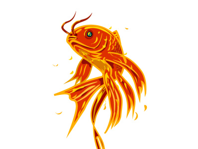 Goldfish cryprinus carpiod foochow goldfish illustration