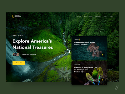 National Geographic Website Redesign Concept