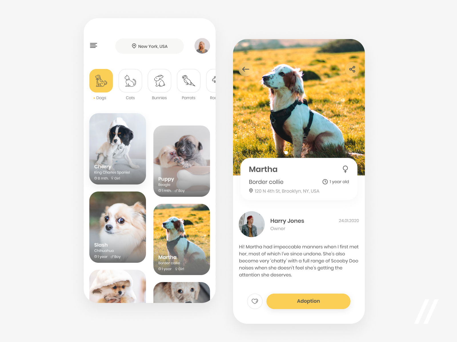 Pet Adoption App by Purrweb UX on Dribbble