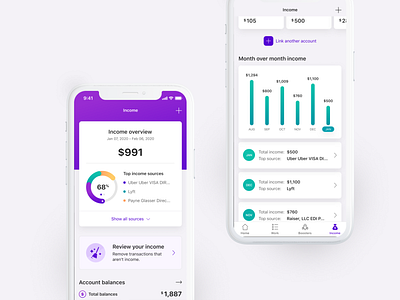 Income tracking app banking bar graph data donut chart finance fintech graphs income income tracker income tracking iphone mobile money