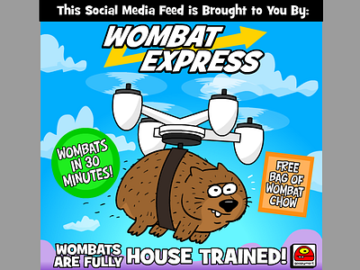 Wombat Express art artist cartoon creative doodle drones goopymart illustration wombat