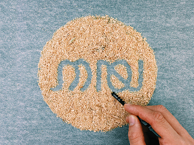 Sawdust hebrew type lettering sawdust