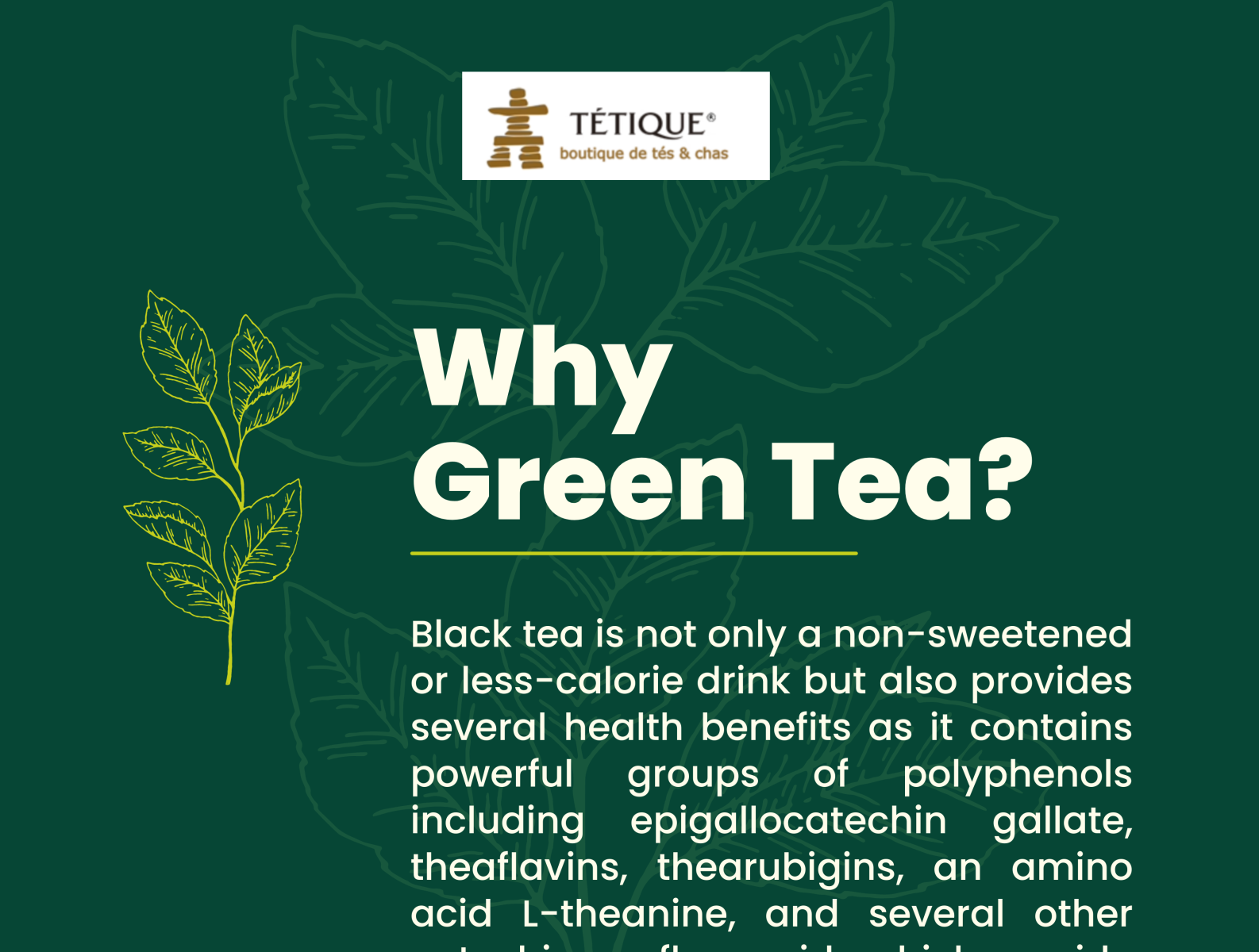 Why Green Tea? by tetique on Dribbble