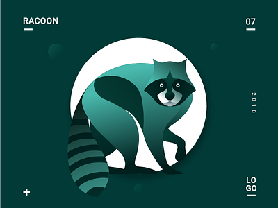 Racoon