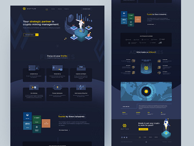 Web Design for Crypto IT Services landing page web design website