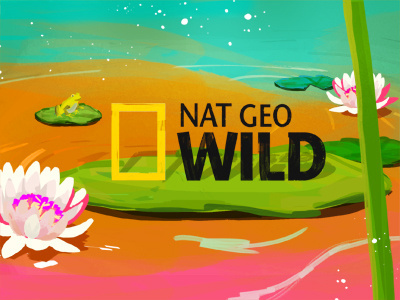 Natgeo Stay Wild angeles animal colorful digital hand drawn illustration losangeles motion graphic painting photoshop pond styleframe