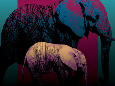 Elefante art design elephant graphic illustration vector