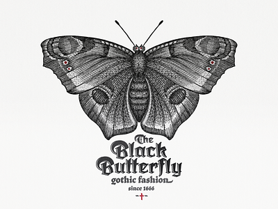 Black Butterfly ... brand butterfly gothic illustration label typo typogaphy vector art vector illustration
