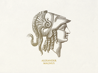 Alexander Magnus head illustration line art lineart linework vector graphi vector illustration vectorart