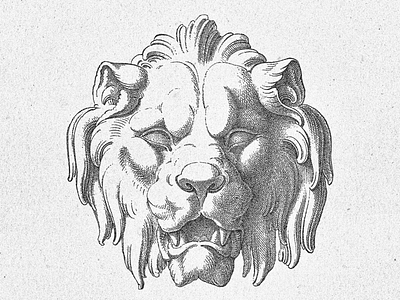 Lion’s Head ... head illustraion lion vector art vector graphic vector illustration