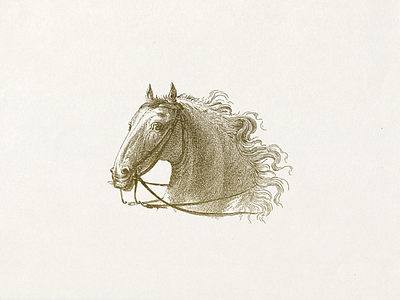 Horse VII ... horse illustration lineart vector graphic vector illustration