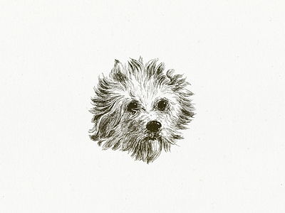 Friend Fritz ... dog drawing illustration vector art vector graphic vector illustration