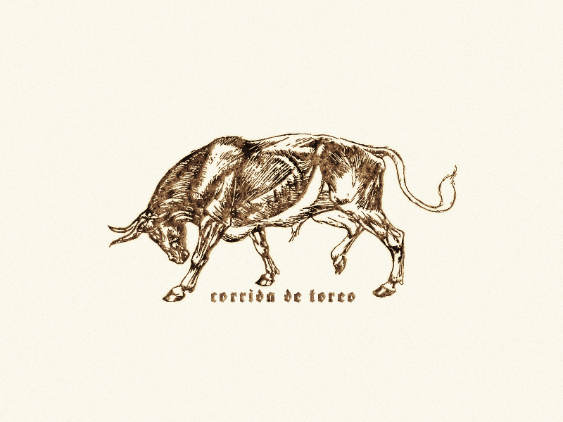 Corrida De Toreo ... bull corrida illustration vector graphic