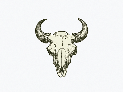 Bull Skull ... bull illustration skull vector graphic