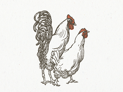 Chicken ... chicken vector illustration