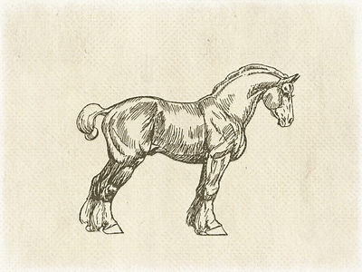 draft horse sketch