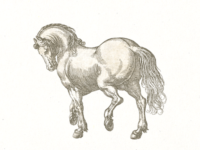 Stallion ... horse illustration line art stallion vector graphic