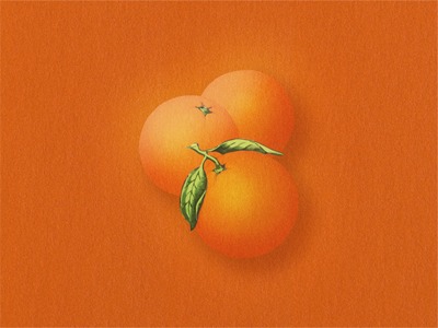 Orange Still Life ...