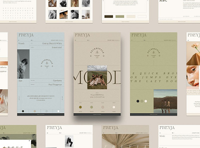 Freyja | Brand Board Kit #3 app branding design graphic design illustration logo typography ui ux vector