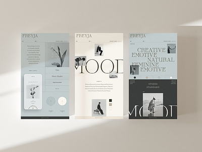 Freyja | Brand Board Kit #13 app branding design graphic design illustration logo typography ui ux vector