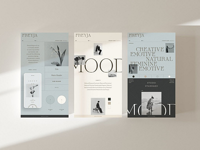 Freyja | Brand Board Kit #13 app branding design graphic design illustration logo typography ui ux vector