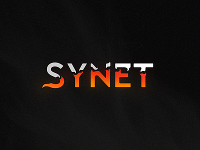 Synet Logo Design Concept