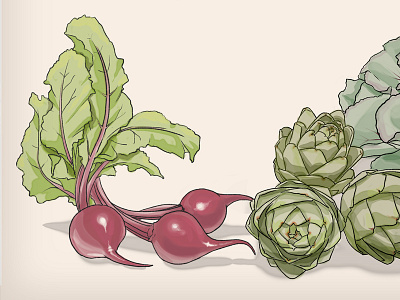 Beets illustration for wedding invitation illustration photoshop