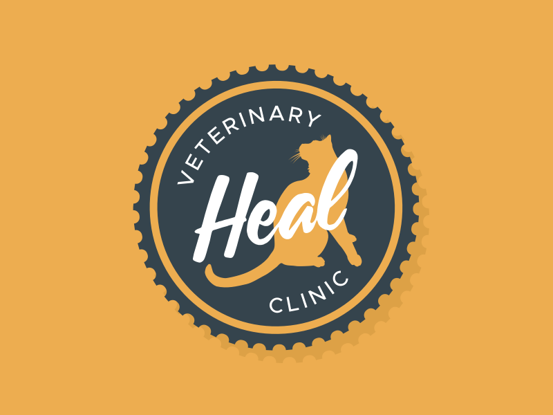 Heal Veterinary Clinic Logo lettering branding brand seal inspiration logos logo design