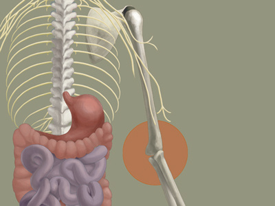 Autoimmune Disease Report Illustration illustration photoshop