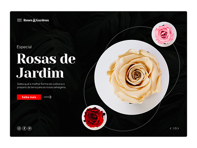 Rosas & Garden dailyui desenhar design dribbble landing page layout photoshop rose typography