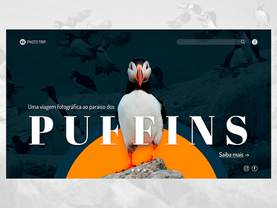 Puffins - Photo Trip desenhar design landing page photoshop poster puffins ui