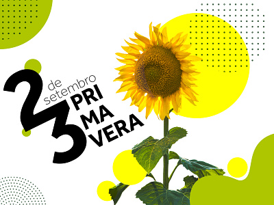 Chegou a Primavera aleatório design digital photoshop poster primavera spring