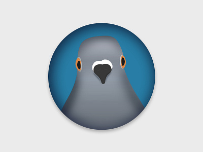 My icon for a favorite animal animal daily 100 dailyui desenhar design drawing dribbble heating icon illustration illustrations ilustrator photoshop pigeon pombo