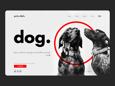 A melhor pose para o seu melhor amigo! cachorro click dailyui design dog doodle download dribbble icon illustration landing page logo pet photoshop ui