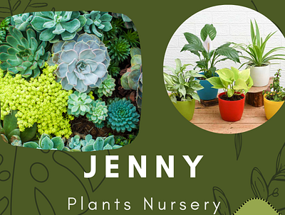 plant nursery adobe behance branding canva design graphic design illustration logo plants