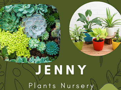 plant nursery