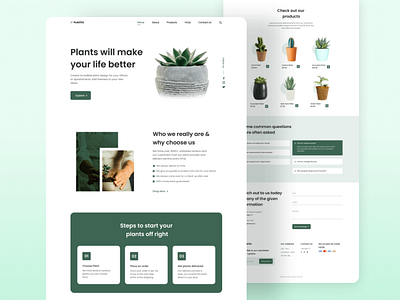 Responsive Website - plantes design frontend frontend developer graphic design ui