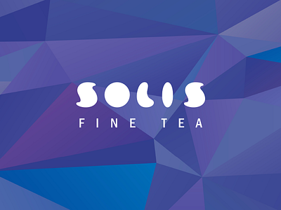 Solis brand concept identity illustration typography