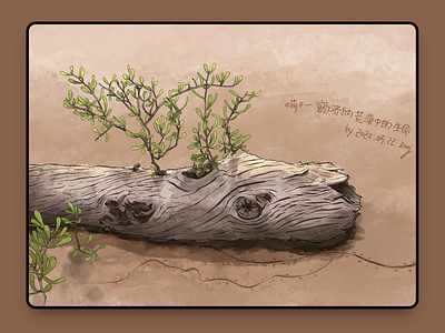Plants in Ejina desert china illustration plant tree watercolor