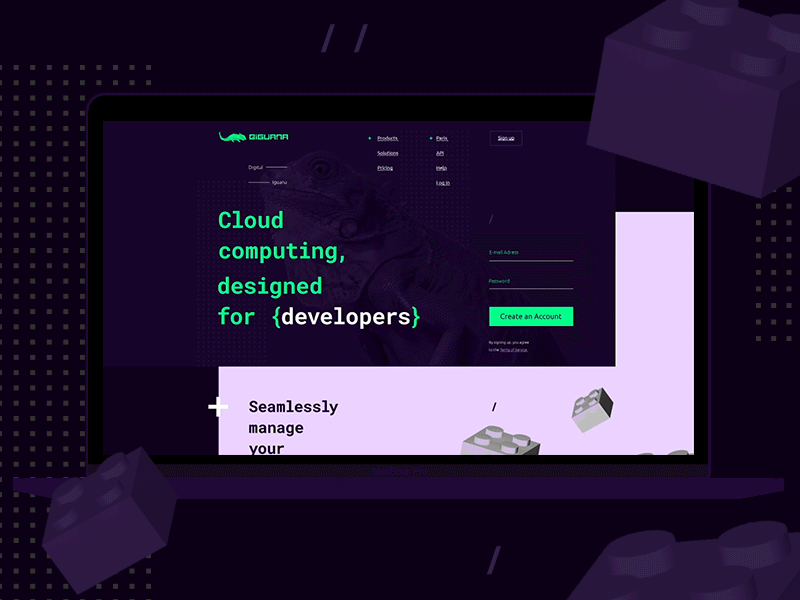 Main page for Diguana Service animation concept design flat landing page parallax ui web