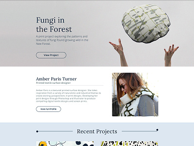 Amber Paris Site Design