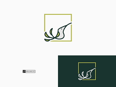 hummingbird leaf animals bird logo branding design graphic design logo logo combination logo leaves motion graphics