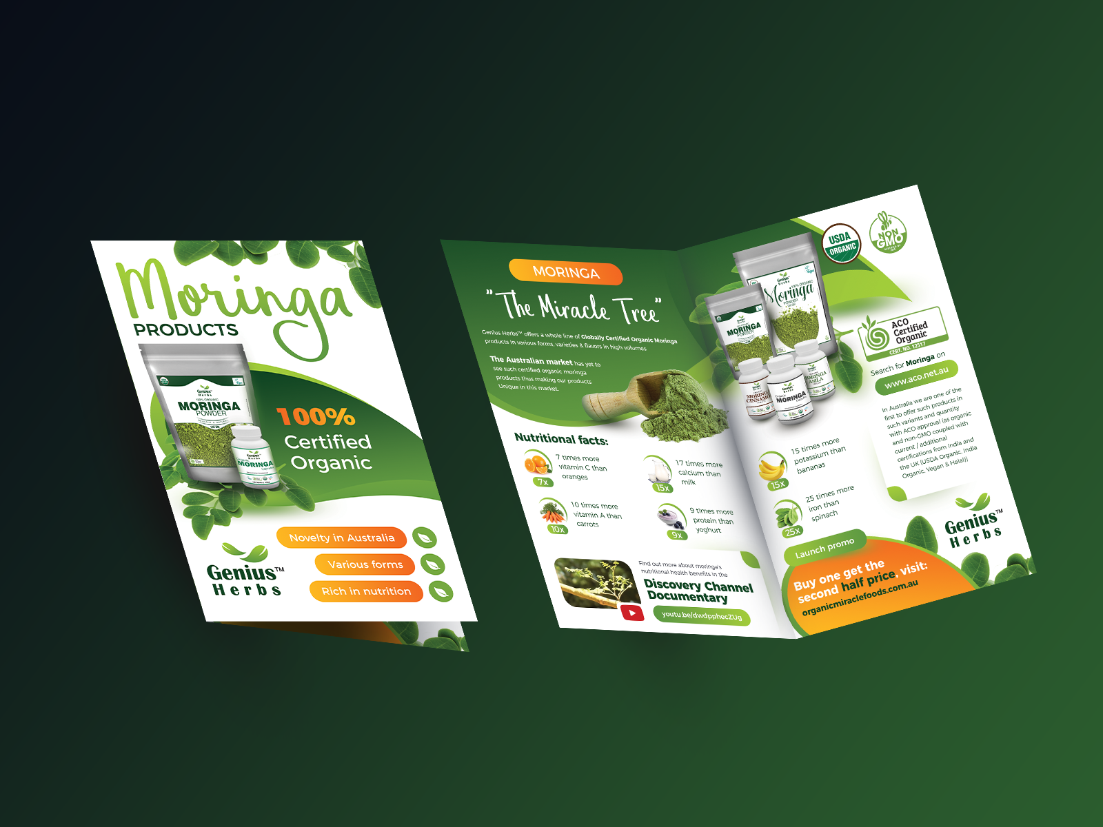 Download Free Half Fold Brochure Mockup Psd 8 5x11 By Oleg On Dribbble PSD Mockup Templates