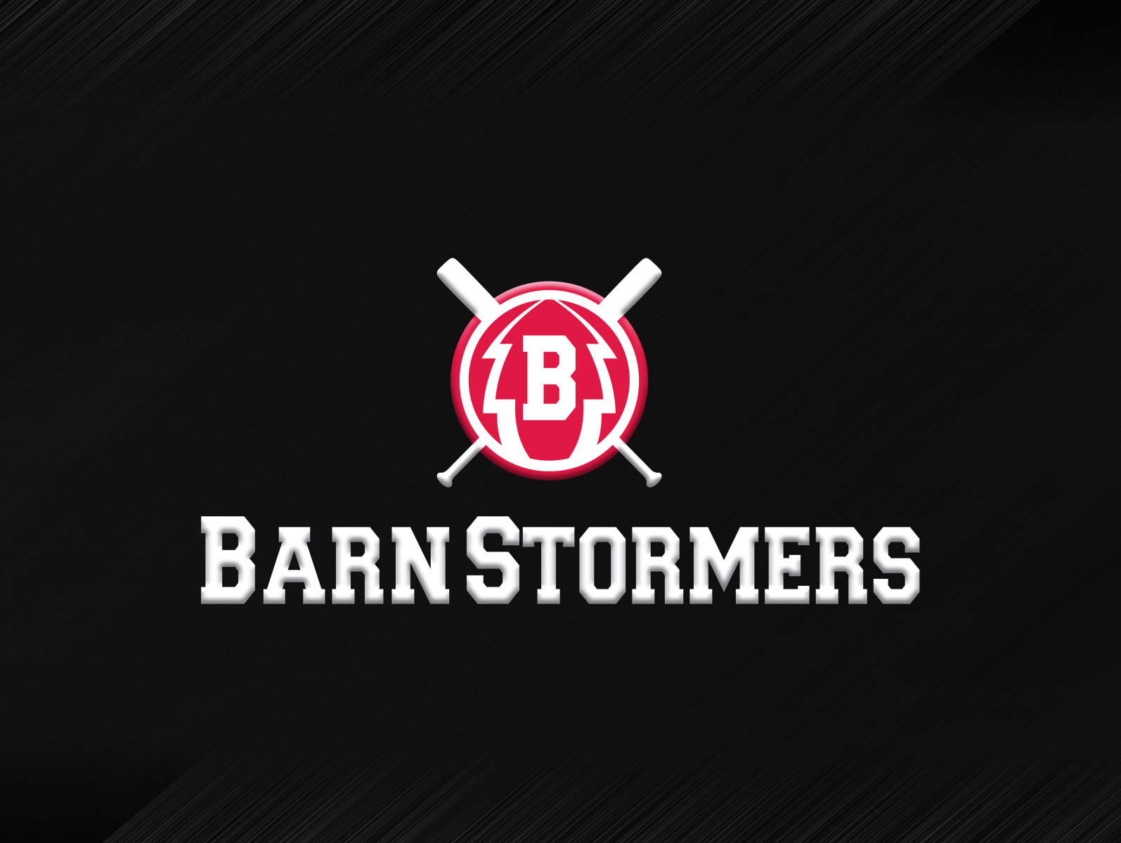 Barnstormers by Phil Andrews on Dribbble