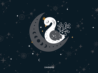 Celestial illustrations and patterns