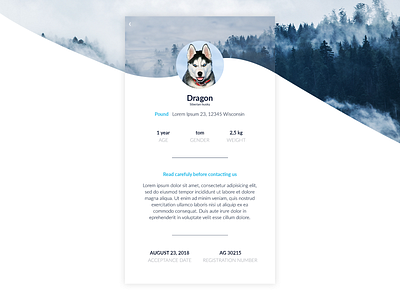 Dog Profile in Pound - User Profile 006 animal app dailyui design dog husky pound profile ui user user interface ux