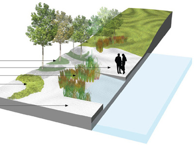 Landscape Typologies 3d concept groundcover landscape park perspective riparian site sketchup surface terrain topography trees typologies water watershed