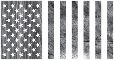 Woodgrain Flag america american american flag bw flag grayscale rotate star stripe usa wood woodgrain
