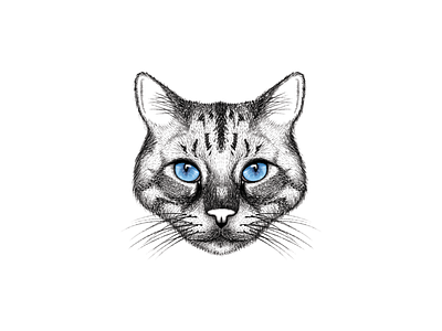 Naz | Pet Portrait animal illustration illustration illustrator pet pet portrait portrait illustration portraits procreate